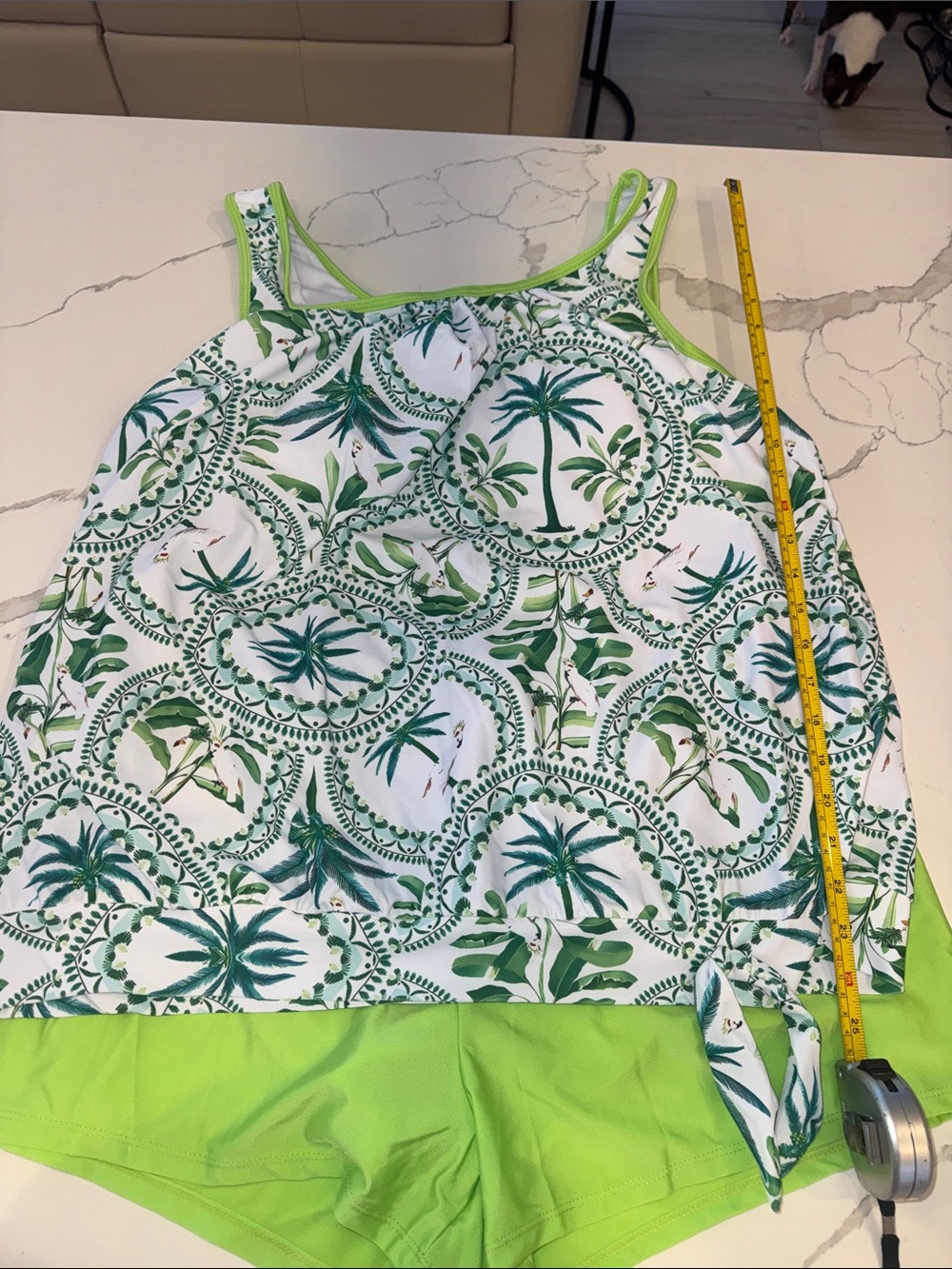 Women’s Green Palm-Print Swim Tankini Top and bottom 2X